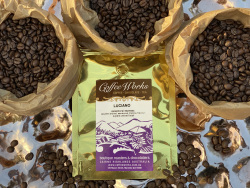 Big + Bold  Luciano&trade;